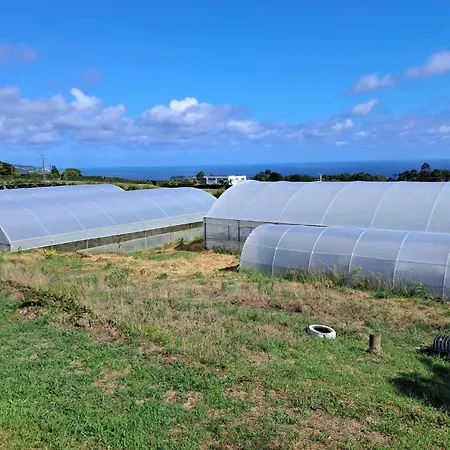 منزل للإقامة Quinta Do Norte