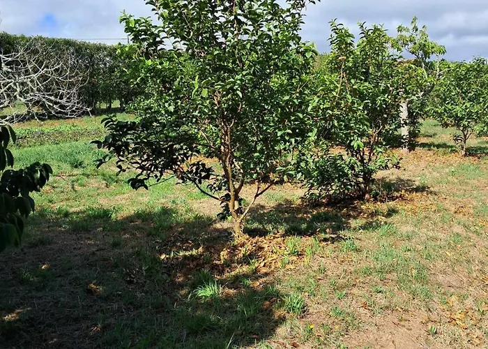 Quinta Do Norte منزل للإقامة