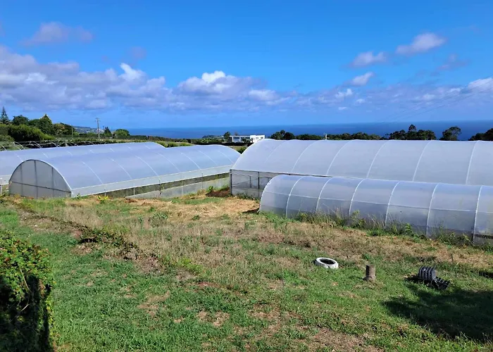 منزل للإقامة Quinta Do Norte