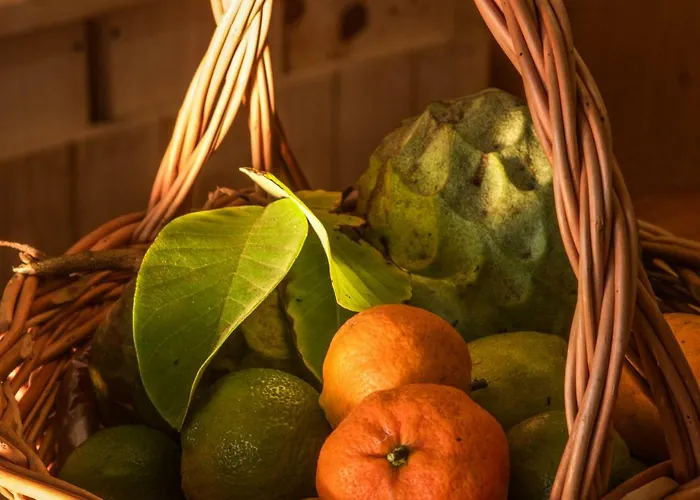 Quinta Do Norte منزل للإقامة *