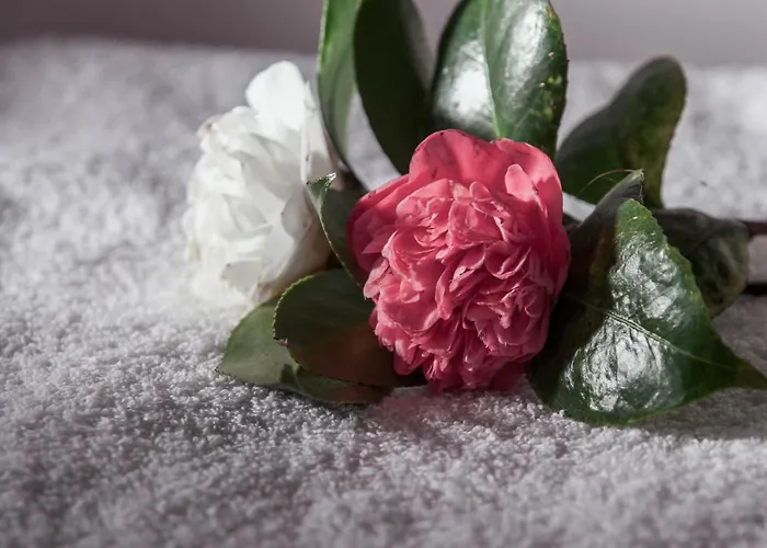 Quinta Do Norte منزل للإقامة *