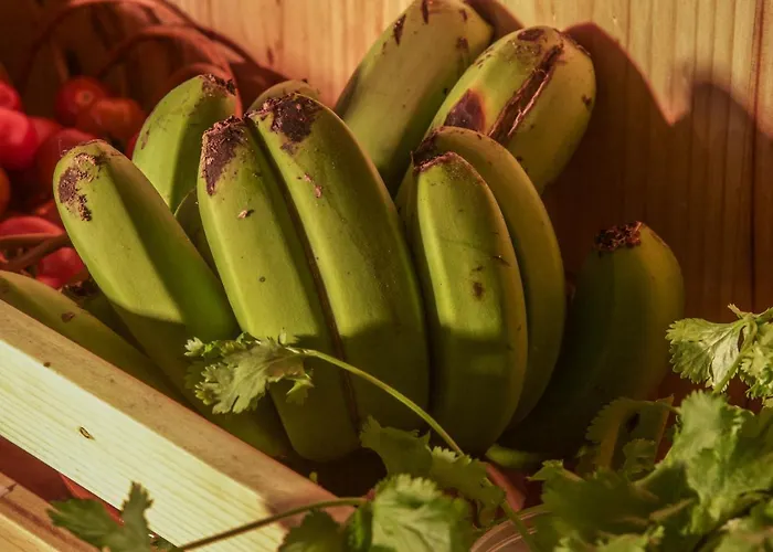 Quinta Do Norte * كابيلاس