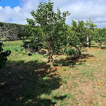 Quinta Do Norte בית אירוח