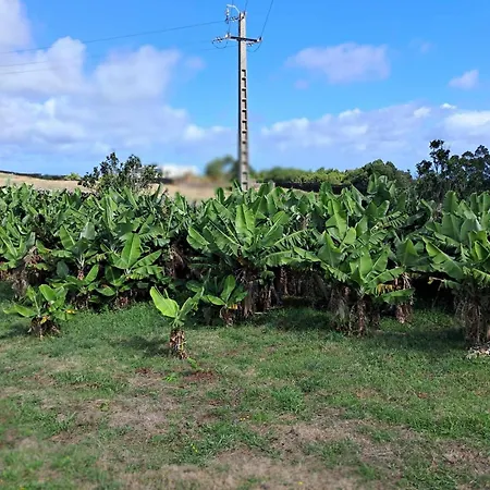 Accommodatie bij particulieren Quinta Do Norte *