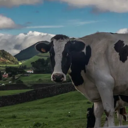 Ubytování v soukromí Quinta Do Norte *