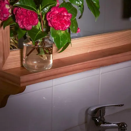 Homestay Quinta Do Norte Capelas (Sao Miguel)