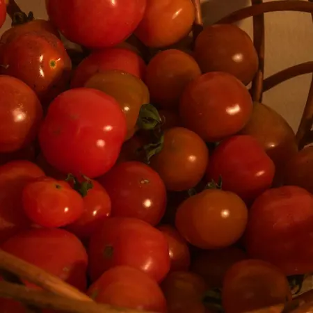 Quinta Do Norte Accommodatie bij particulieren *