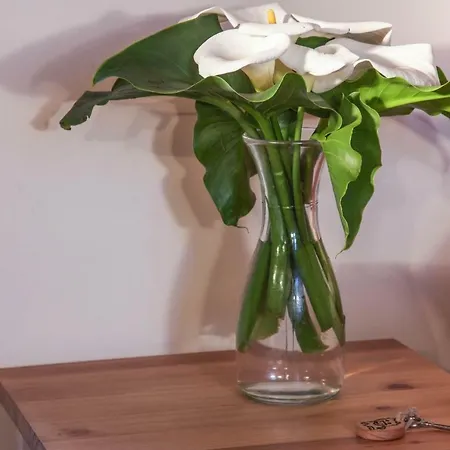 Ubytování v soukromí Quinta Do Norte Capelas (Sao Miguel)