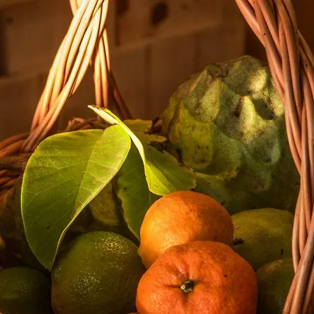 Quinta Do Norte Ubytování v soukromí *