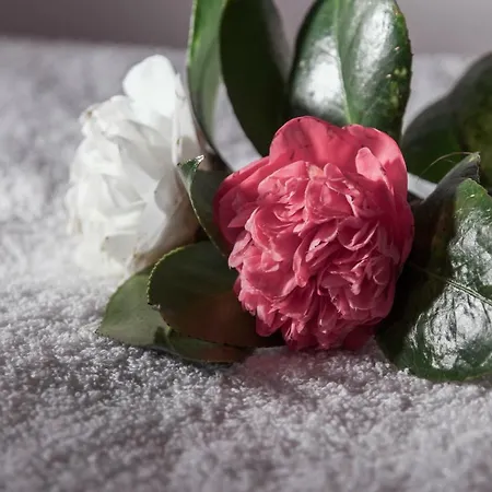 Quinta Do Norte Ubytování v soukromí *