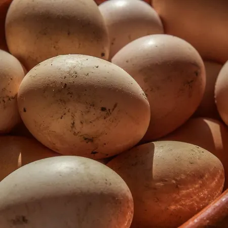 Ubytování v soukromí Quinta Do Norte *