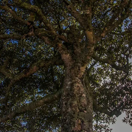 Accommodatie bij particulieren Quinta Do Norte *