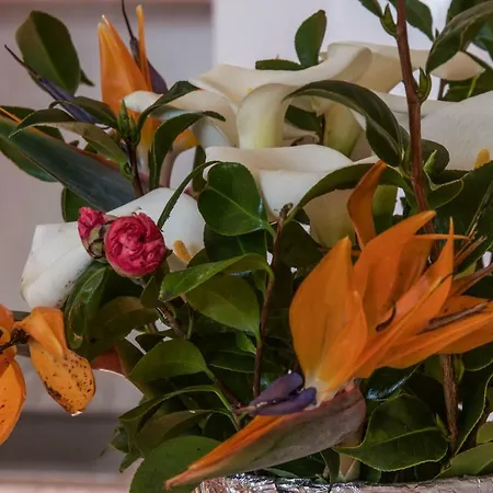 Quinta Do Norte בית אירוח