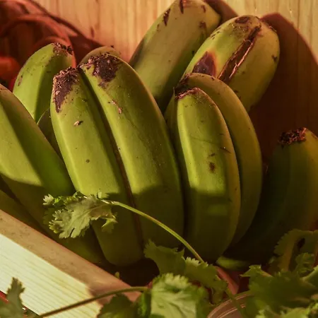 Quinta Do Norte * Capelas (Sao Miguel)