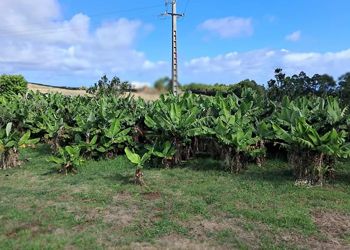 Homestay Quinta Do Norte *