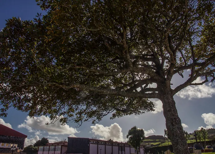 Quinta Do Norte Homestay Capelas (Sao Miguel)