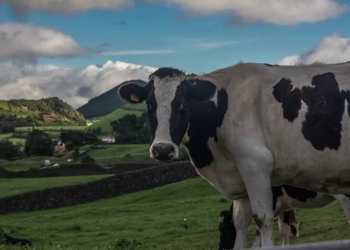 Privatunterkunft Quinta Do Norte *