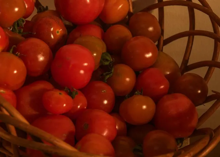 Quinta Do Norte Privatunterkunft *