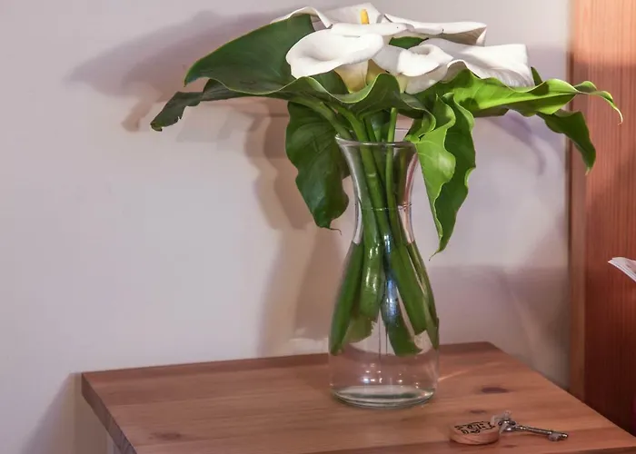 Privatunterkunft Quinta Do Norte Capelas (Sao Miguel)