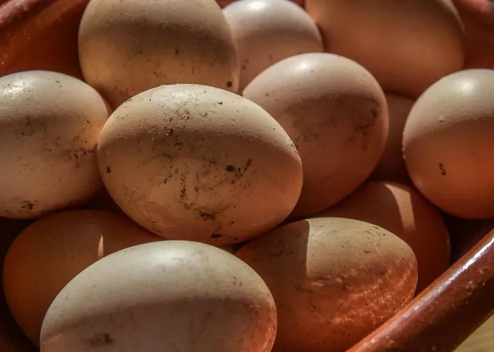 Privatunterkunft Quinta Do Norte *