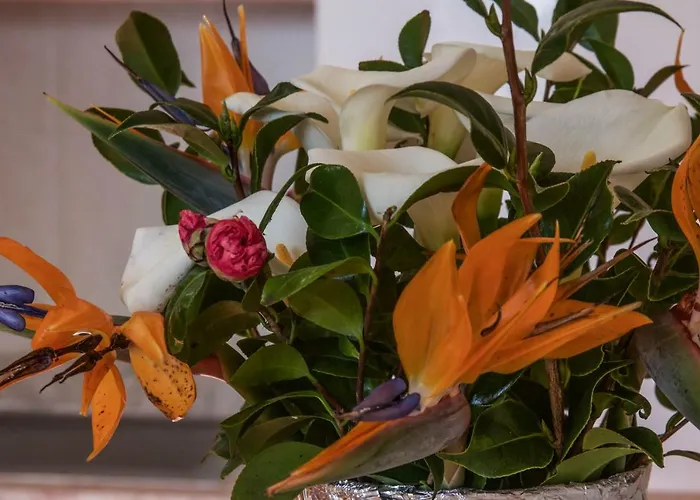 Quinta Do Norte Homestay